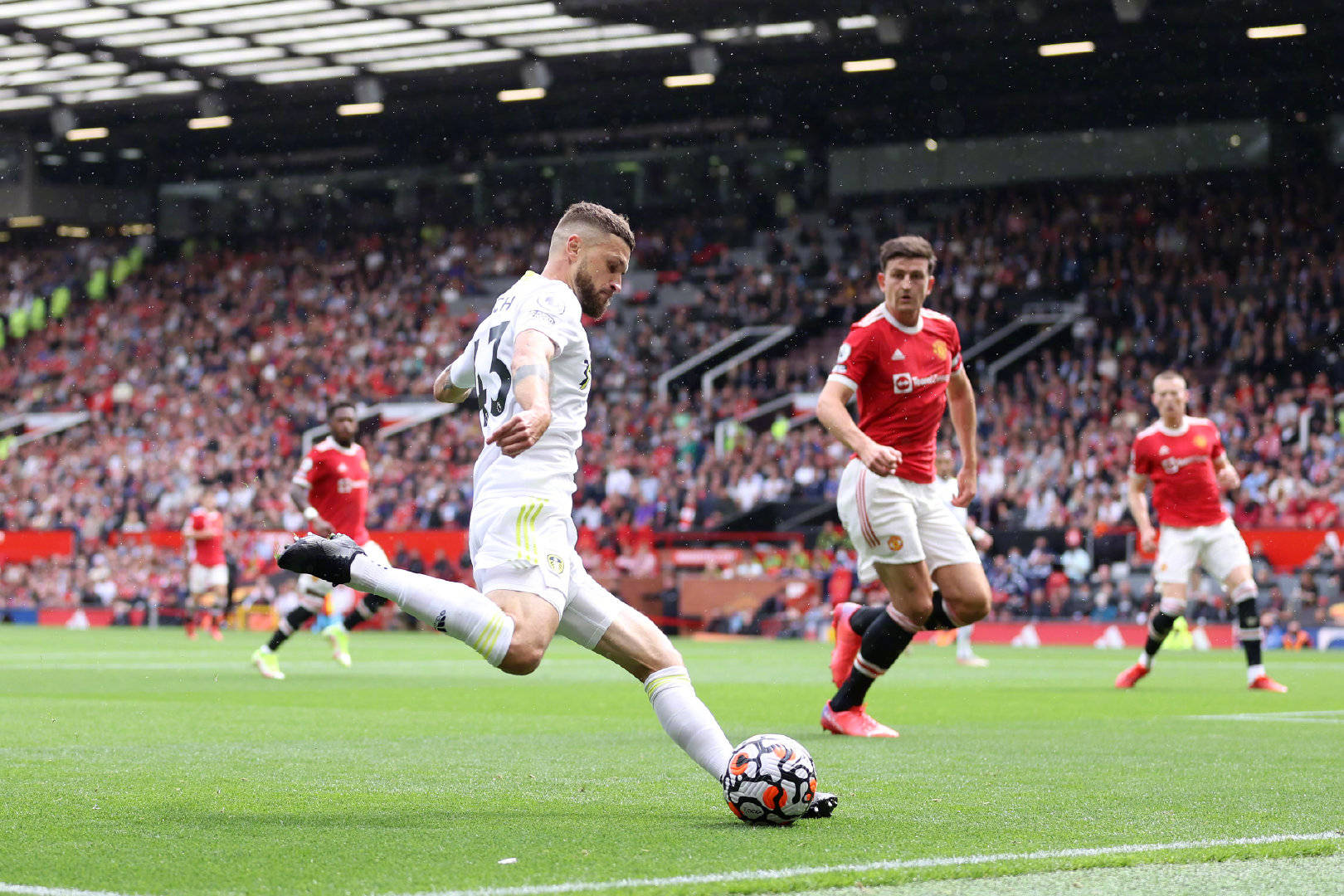 也擁有數名 也擁有數名