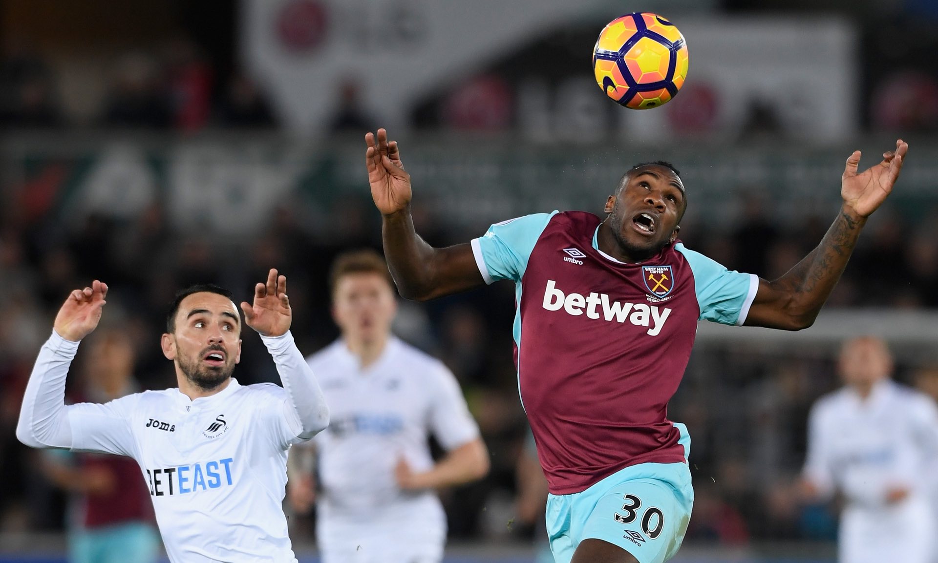 应这种变化 应这种变化